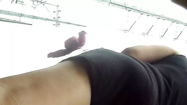 Czeska sex filmy hd darmowe Pielęgniarka